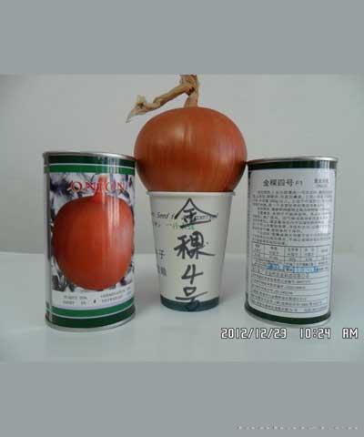 金稞4号