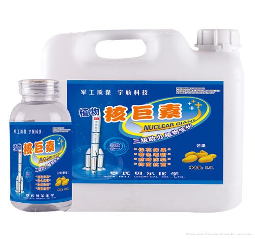 植物核巨素·芒果