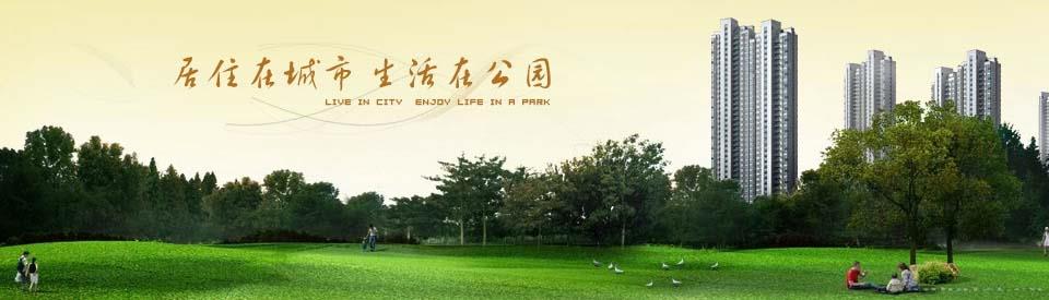 狗牙根