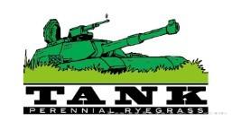 坦克Tank