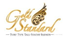 金标Gold Standard