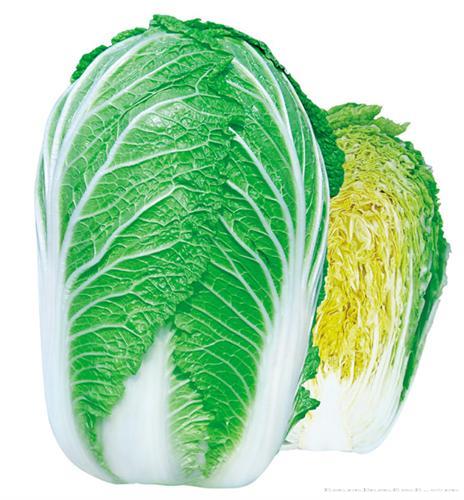     冬福春宝