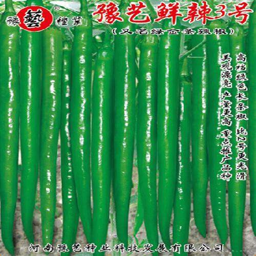豫艺鲜辣3号