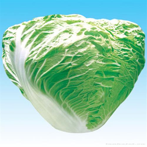 豫艺早铁头