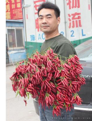 天箭