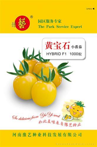 黄宝石樱桃番茄
