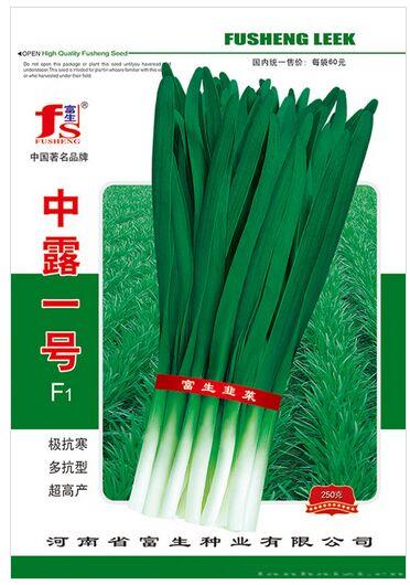 中露一号