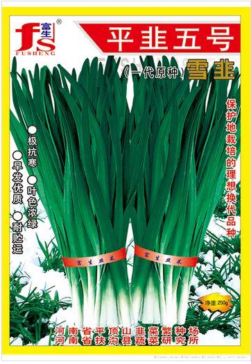 平韭五号