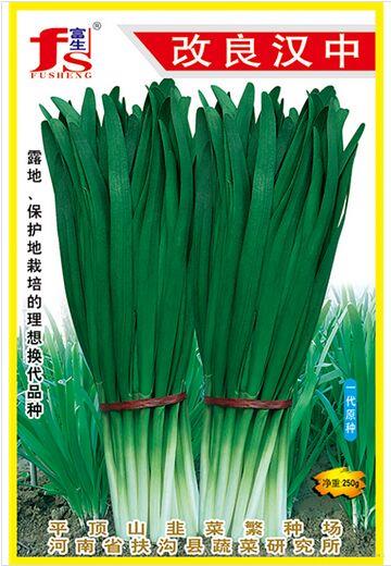 改良汉中冬韭