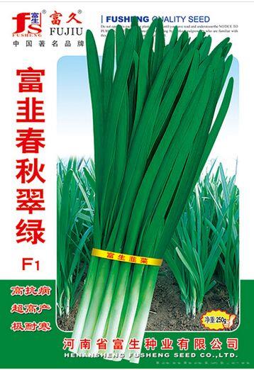 富韭春秋翠绿