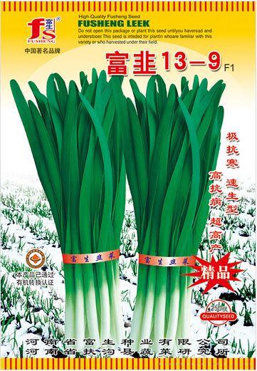 富韭13-9