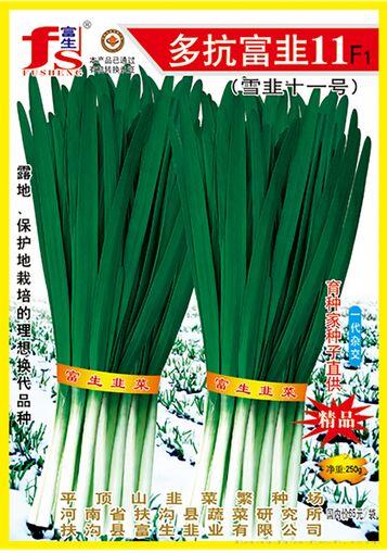 富韭11