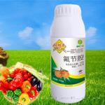 控梢灵 控梢不伤果和树 氟节胺控梢 砂糖橘控梢 烟草抑芽 效果好