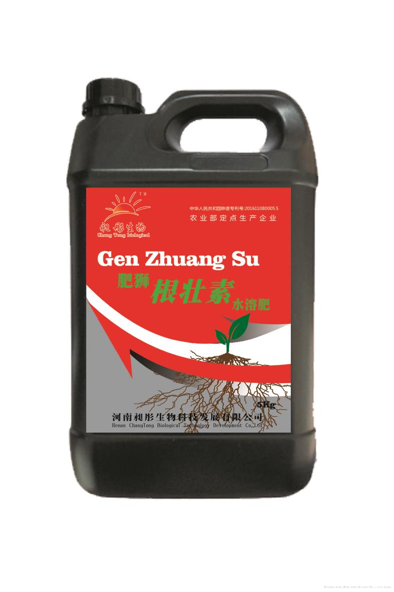 根壮素