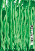 赛丰无筋架豆王