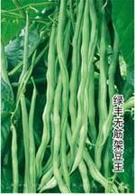 	绿丰无筋架豆王