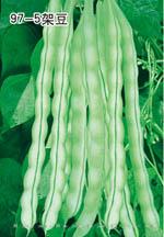 97-5架豆