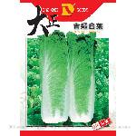 大正青绿白菜——白菜种子