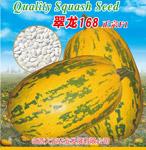 翠龙168——南瓜种子