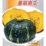 墨丽南瓜——南瓜种子