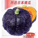 特选日本南瓜——南瓜种子