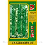 口口脆——黄瓜种子