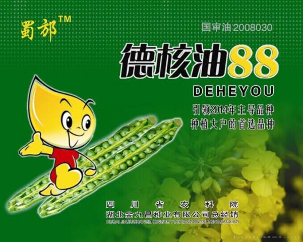  油菜 
