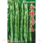 正绿王中王——架豆种子