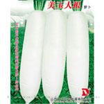美玉大根——萝卜种子