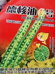 德核油6号