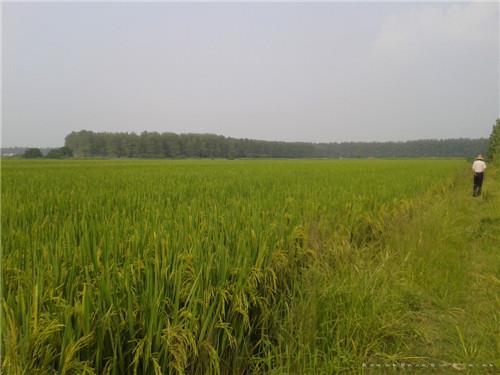 20140821_160951