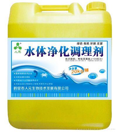 水体环境调理菌