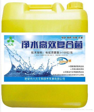 净化高效复合菌