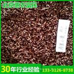 厂家热销 春小麦新品种高产抗病春黑小麦种子农大2202