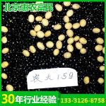 生产销售有机富硒绿豆新品种黑绿豆农大159诚招代理商