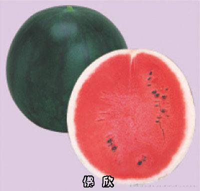 西瓜