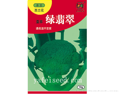 亚非绿翡翠