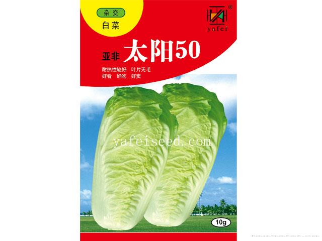 亚非太阳50