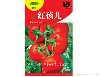 亚非红孩儿