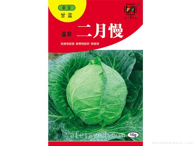 亚非二月慢