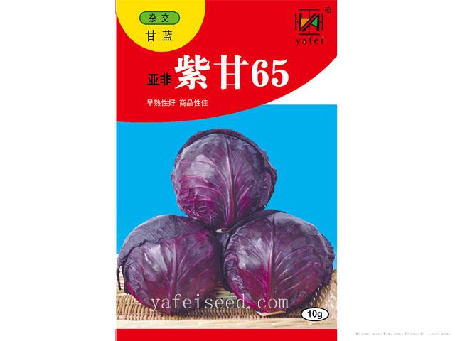 亚非紫甘65