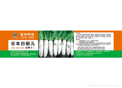 亚非白丽儿