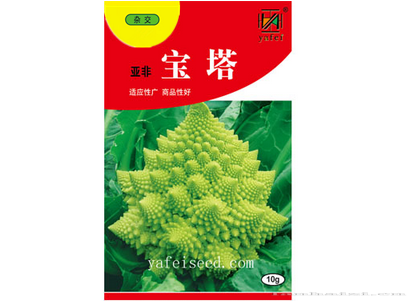 亚非宝塔菜
