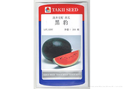 亚非黑豹