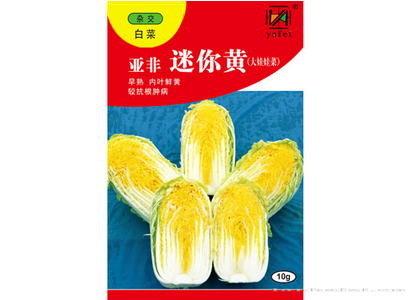 亚非迷你黄