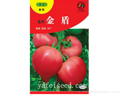 亚非金盾