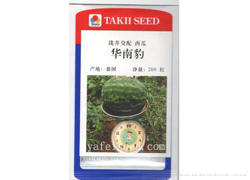 亚非华南豹