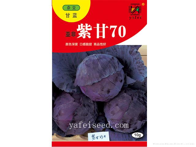 亚非紫甘70