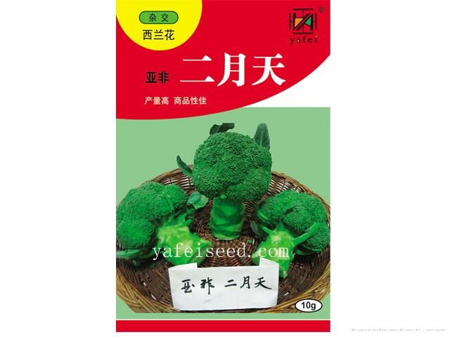 亚非二月天