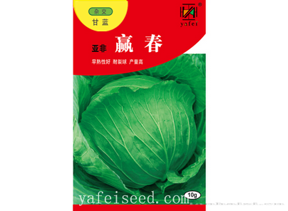 亚非赢春